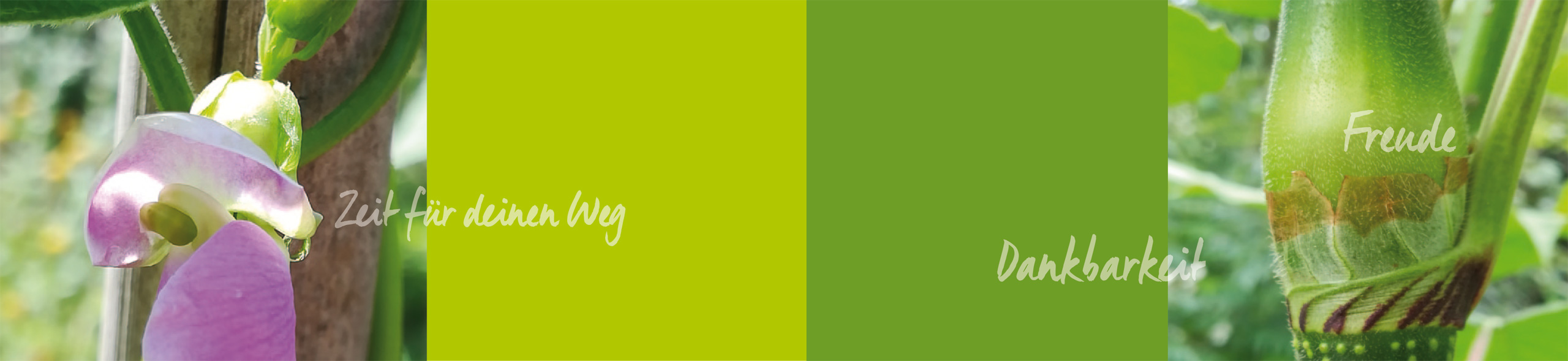 Footer‑2